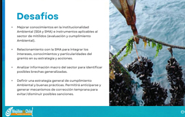 Exitoso taller sobre “Fiscalización de la SMA a los Mitílidos” realizaron ECOS y CERTES 