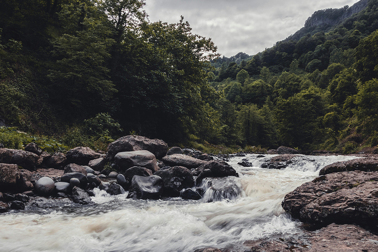 Crean material sustentable para la detección de contaminantes emergentes en aguas residuales