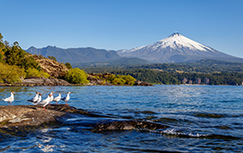 Contraloría despachó primer plan de descontaminación hídrica del país: protegerá el Lago Villarrica