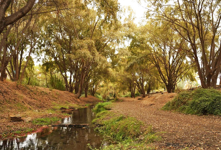 Tribunal Ambiental confirmó declaratoria del humedal urbano Río Maipo en Isla de Maipo