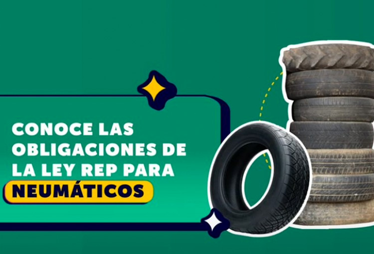 Publican manual y videos dirigidos a regulados para promover el cumplimiento de la Ley REP