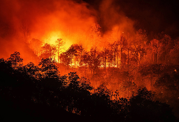 Cámara de Diputados aprobó proyecto de ley para prevenir incendios forestales y rurales