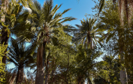 Contraloría detectó más de 400 construcciones irregulares colindantes con parque nacional La Campana