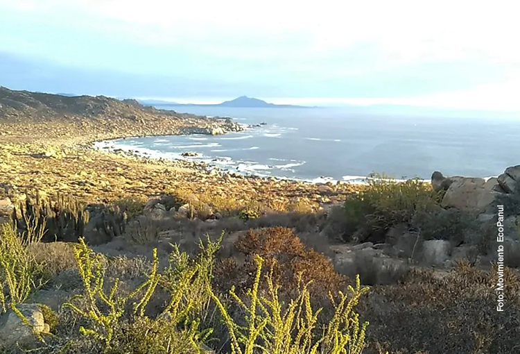 Gobierno proyecta cuatro plantas desaladoras para afrontar crisis hídrica en región de Coquimbo