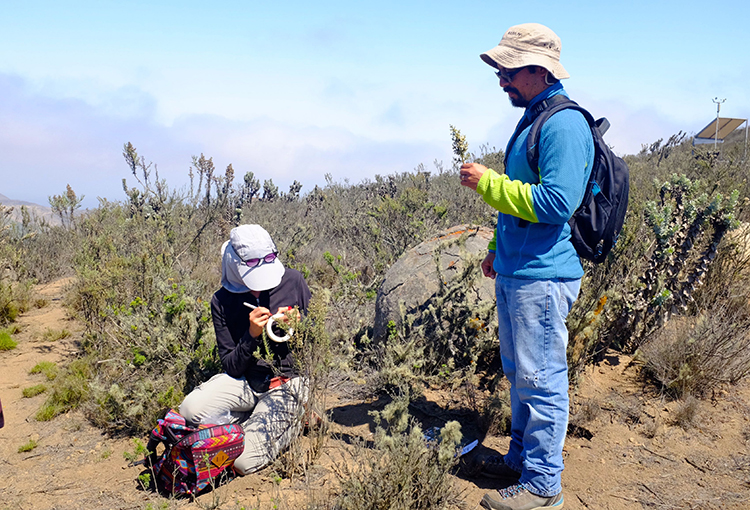 Avanza trabajo público-privado para afrontar crisis climática en región de Coquimbo