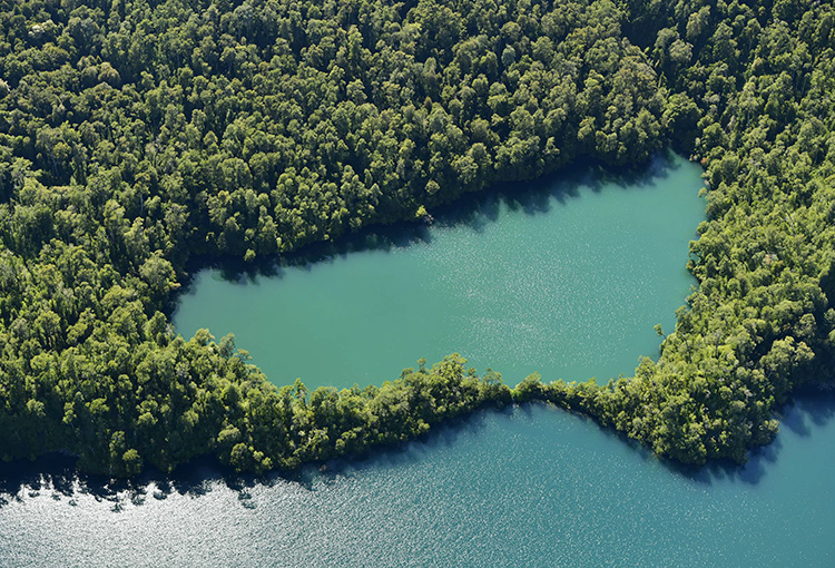 Protección de humedales destaca en balance oficial de la gestión ambiental 2018-2022