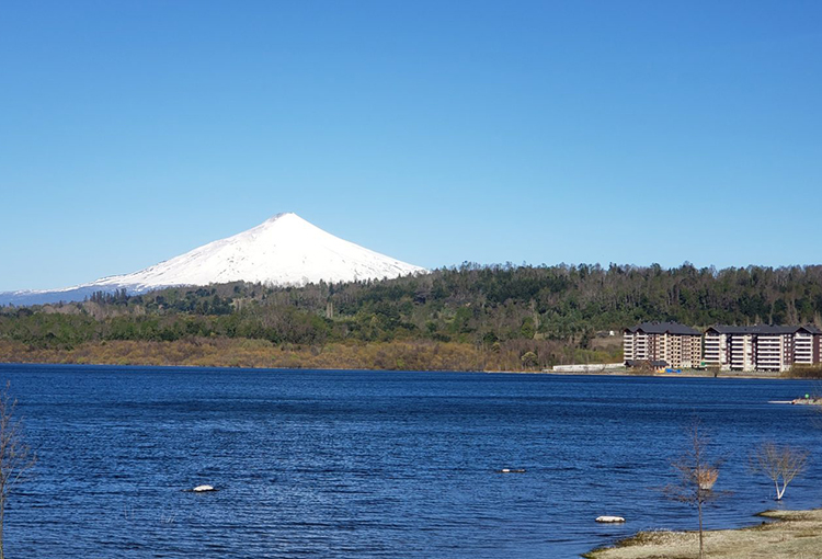 Monitoreos recientes descartaron presencia de cianotoxinas en el Lago Villarrica