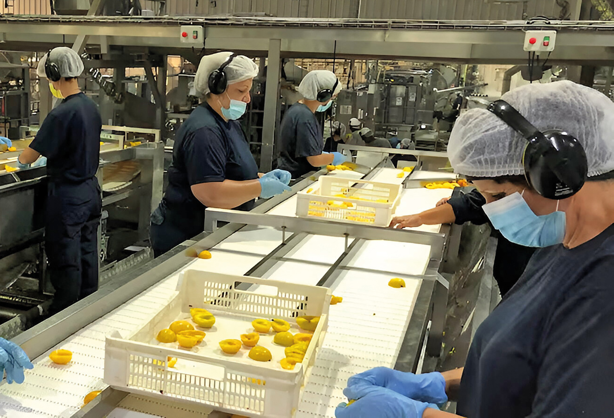 Alimentan la Eficiencia