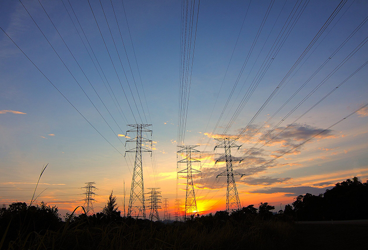 Parte evaluación ambiental de línea de transmisión eléctrica clave para la descarbonización del país