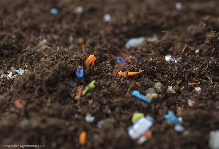 Estudio detecta alta presencia de microplásticos en suelos urbanos de Chillán