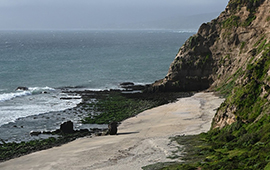 Sitios prioritarios: analizan marco de protección de la biodiversidad bajo la Ley SBAP y sus efectos