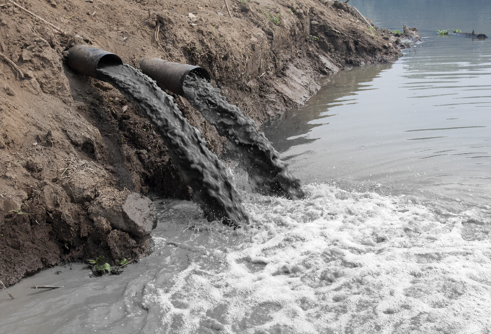 Estudio sin precedentes reveló contaminación global de ríos por medicamentos 