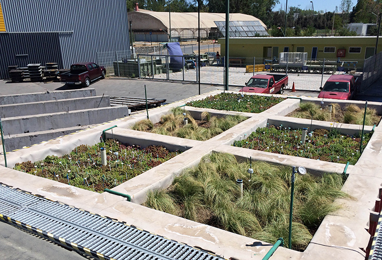 Infraestructura verde protegería a las personas ante el efecto de isla de calor urbano