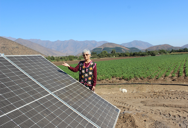 Con riego presurizado y energía solar impulsan cultivos sustentables en Petorca y Cabildo