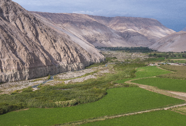 Plan Nacional de Restauración de Paisajes busca recuperar 1 millón de hectáreas al 2030