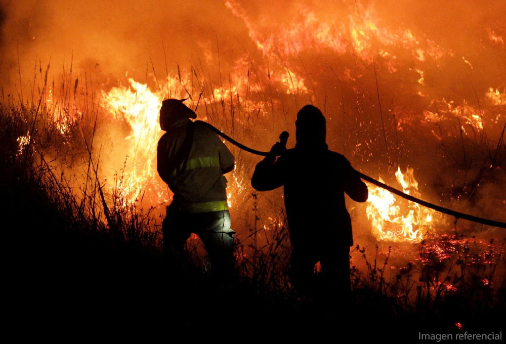  Activo y con 2.400 hectáreas afectadas por el fuego continúa incendio en Coelemu