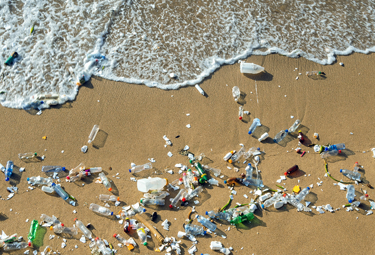 Dan primeros pasos hacia un tratado global sobre la contaminación por plásticos 