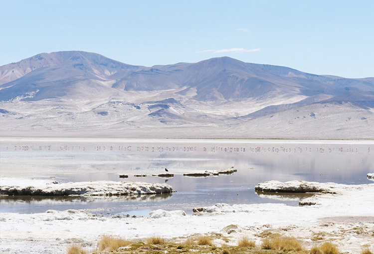 Aprueban que 27 nuevos ecosistemas de lagunas y salares queden bajo protección oficial