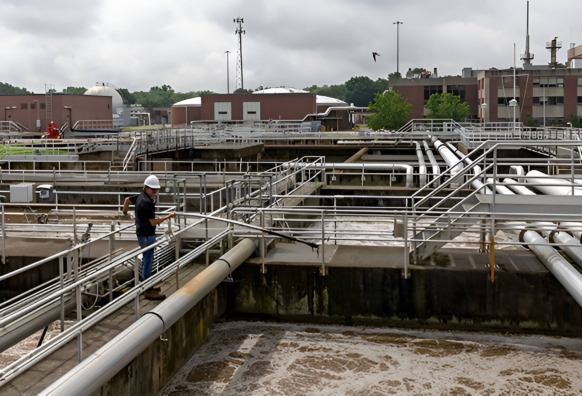 Control Basado en Amonio