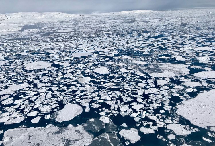 El hielo marino de la Antártica se redujo a la menor superficie de su historia