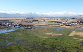 Declaración del humedal urbano Quilicura es publicada en el Diario Oficial