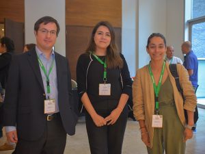 Cómo Cuidar el Patrimonio