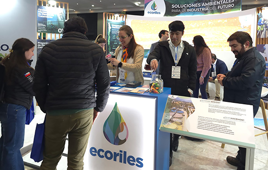 9- Ecoriles