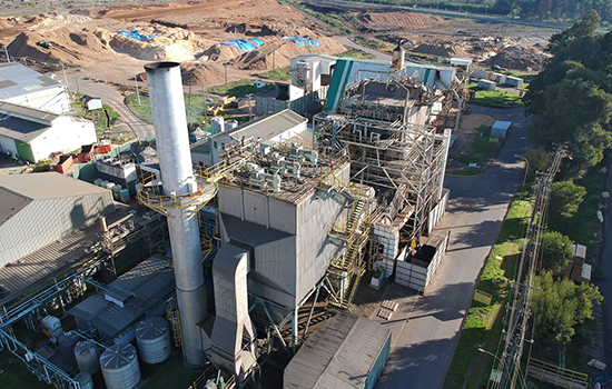 Cogeneracion Biomasa 550x350