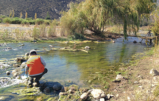 Especialista Ambiental-03 550x350.jpg