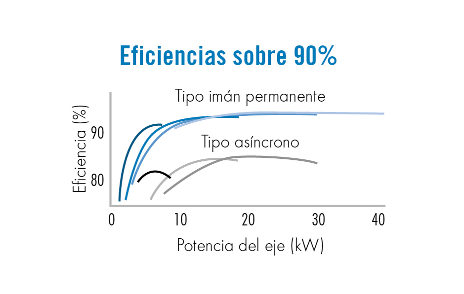 Grafica Soltex 01