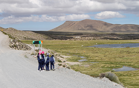 Por la tierra y los bosques - 03 - 550x350.jpg