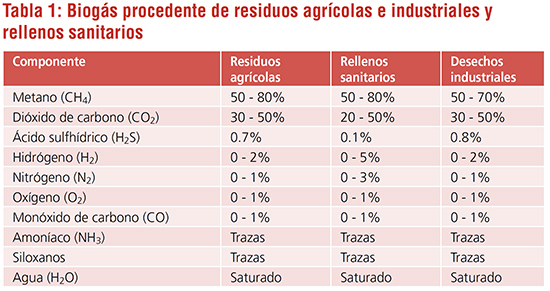 Quemadores para Biogas-02 550