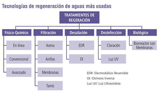 Regeneracion Vital-03-550