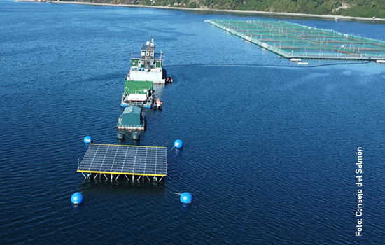 Salmonicultura- 550x350