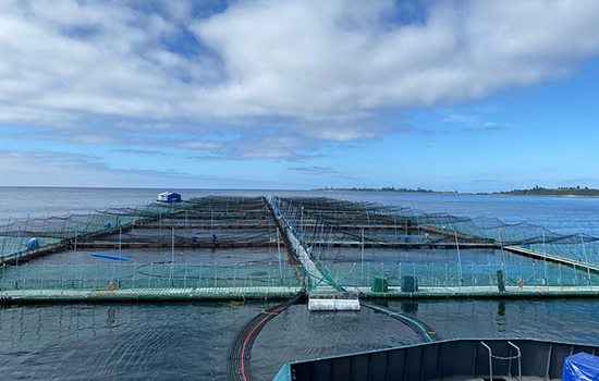 Valorizacion 550x350